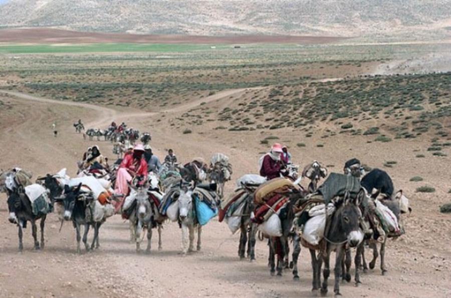 نخستین رویداد ملی گردشگری عشایر در شیراز برگزار می‌شود